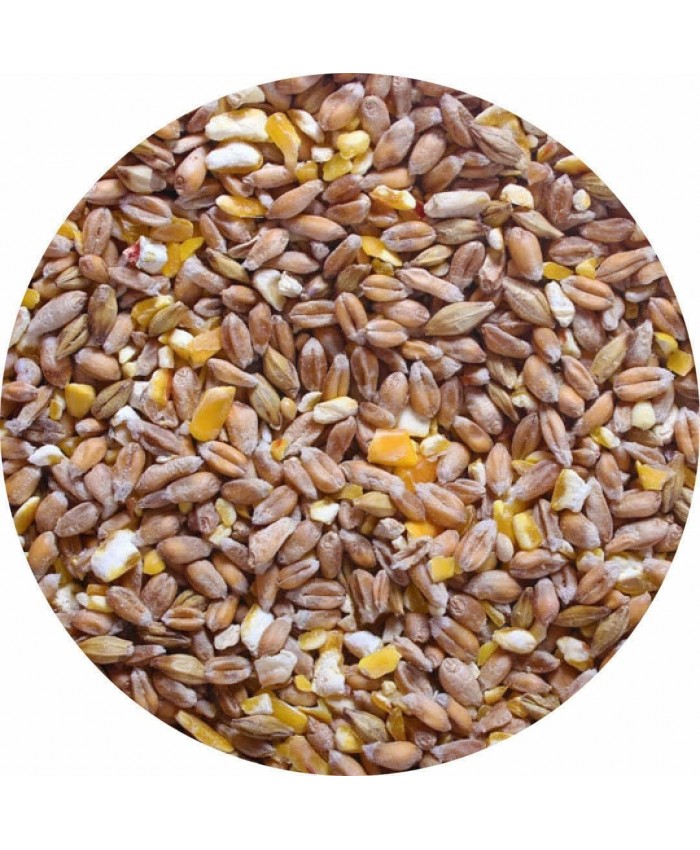 Heygates Mixed Corn 20kg